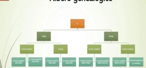 schema albero genealogico powerpoint