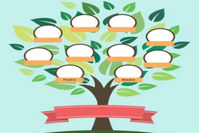 disegno albero genealogico