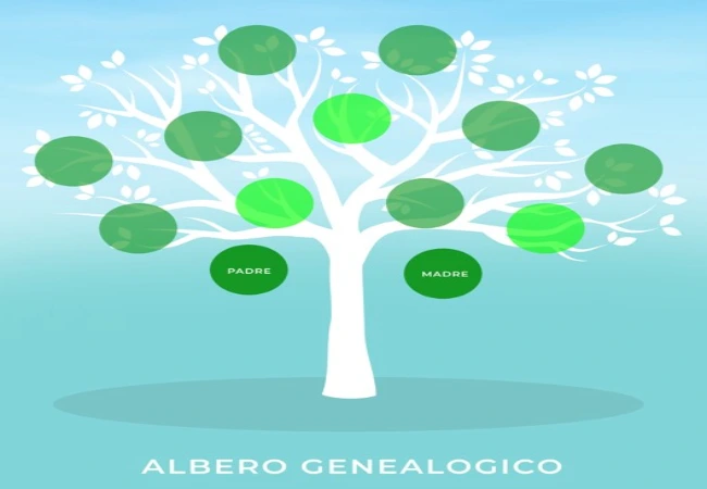 disegno albero genealogico editabile